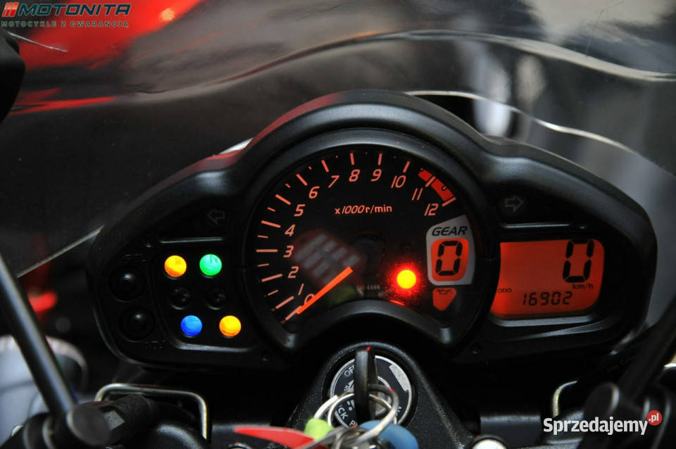 Suzuki Gladius Suzuki SFV 650 Gladius Salon Podkowa Leśna