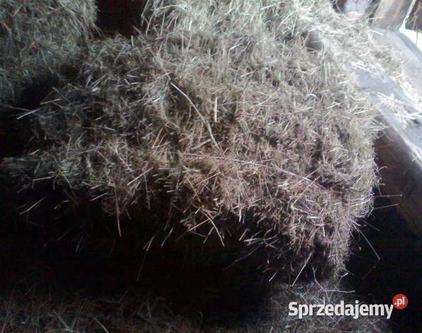siano w kostkach balach bale kostka siana Gierałtowiczki