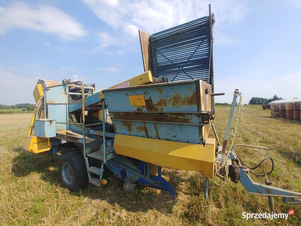 Kombajn Anna Z644 z przystawką do cebuli i wielkopolskie Warszew