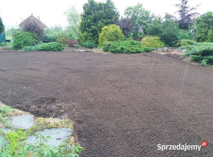 Glebogryzarka separacyjną usługa Tarnów