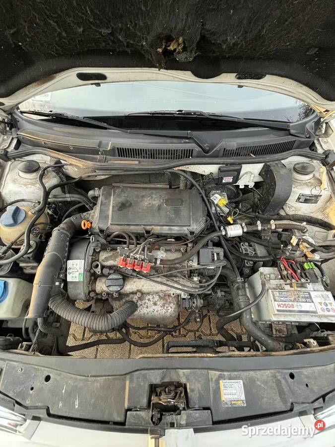 Volkswagen Golf IV 14 LPG Biały Chełmża sprzedam