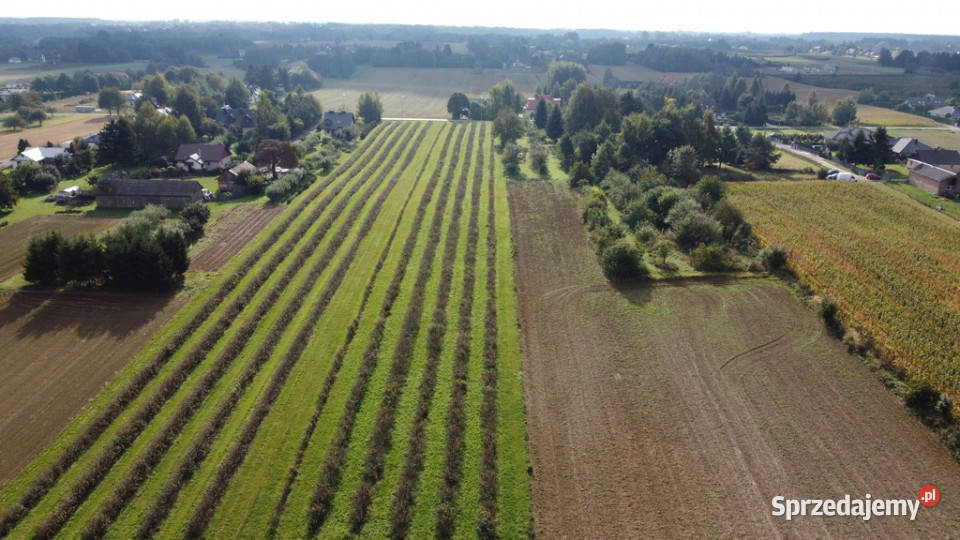 Działka Motycz 13 ar budownictwo jednorodzinne