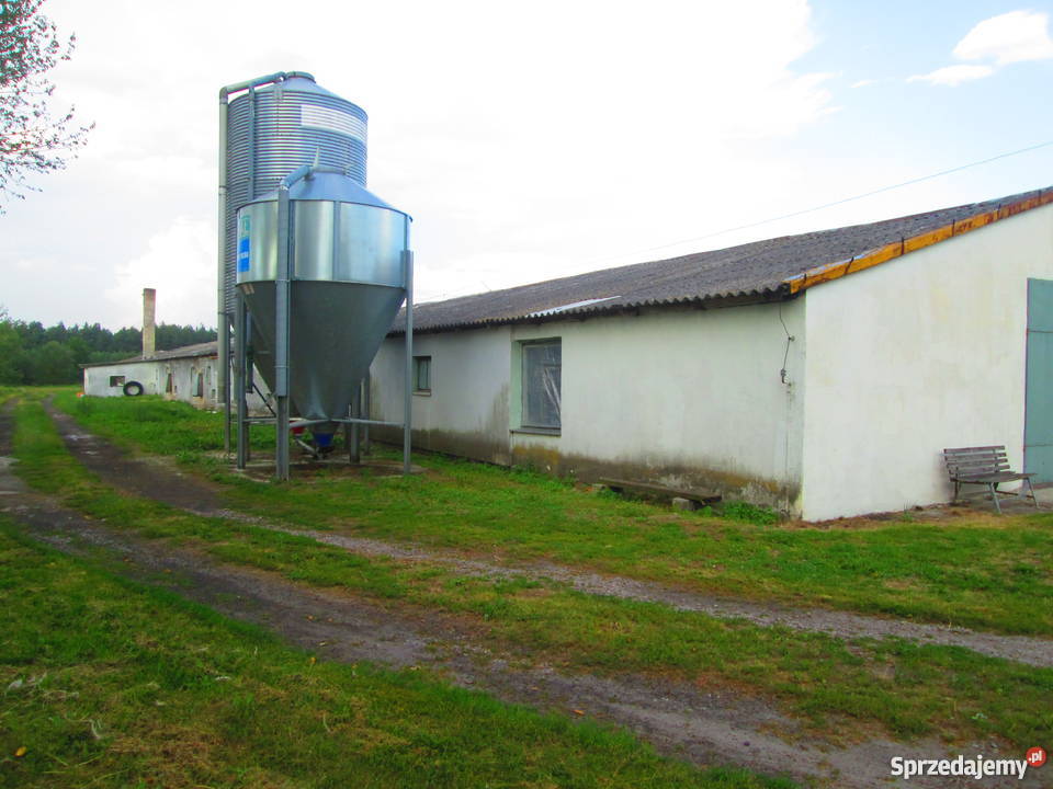 FERMA DROBIU Z DOMEM MIESZKALNYM Łubno