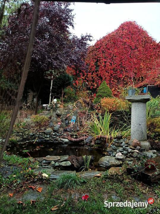 Sprzedam dom Sprzedaż Jarosław