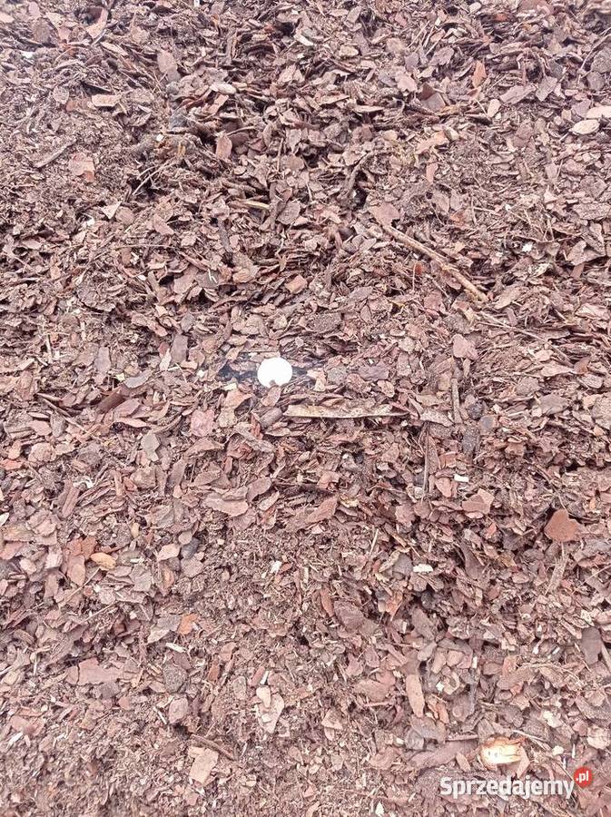 Kora Sosnowa Frakcja 010mm 130 nettom3 wielkopolskie Brzeźno