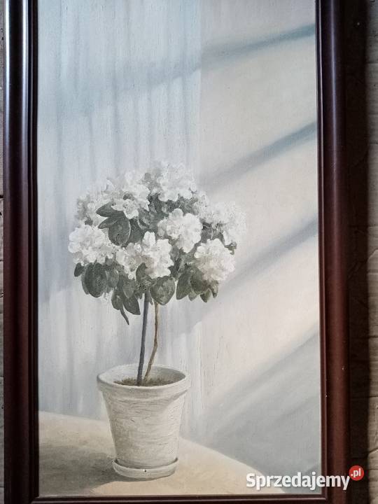 Obraz olejny 40x70 Azalia w donicy podkarpackie Przeworsk sprzedam