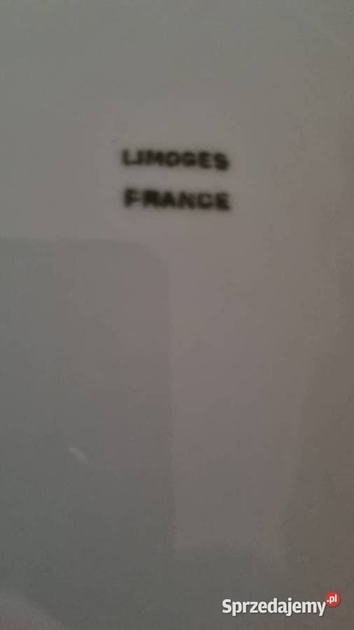 Talerz Motyw Owoce Porcelana Francuska Limoges Wola Podłężna