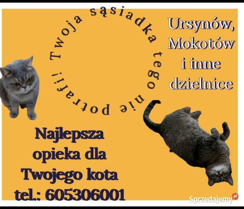 opieka kotem cat sitter Warszawa Ursynów