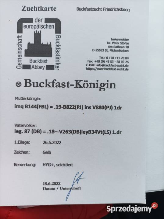 Matki pszczele wysyłka Ose