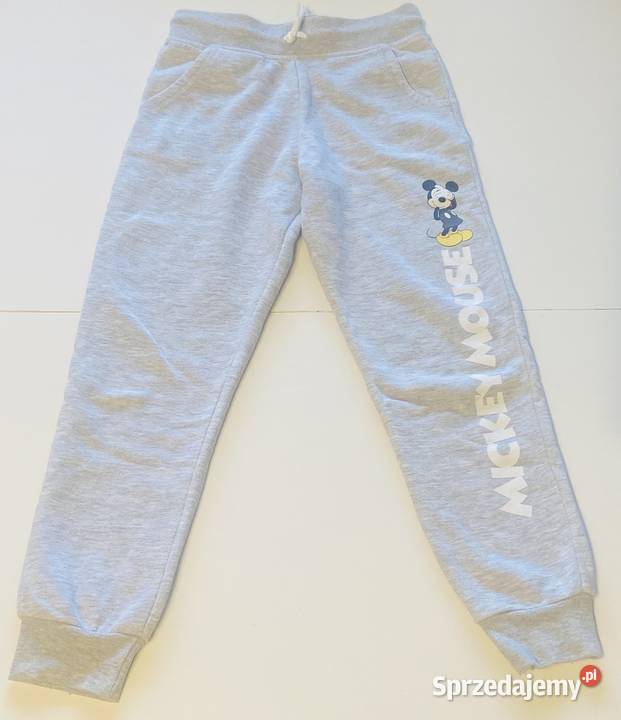 Szare spodnie dresowe Primark rozmiar 134 Odzież sprzedam