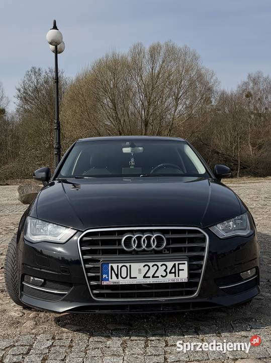 Audi A3 8v 16 TDI 2015 Czarny 110KM
