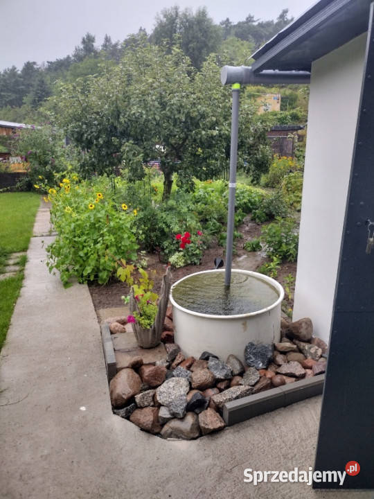 Działka ROD z domkiem 2026 Aleksandrów Kujawski kujawsko-pomorskie