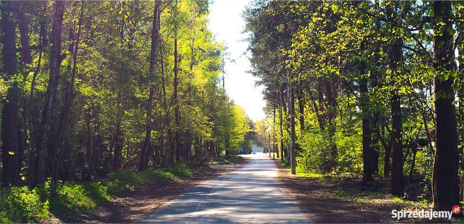 Osiedle Leśna Symfonia Słomin 380m2