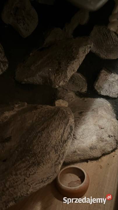 TERRARIUM 120x50x60 Agama Gekon Wąż Pyton Zwoleń