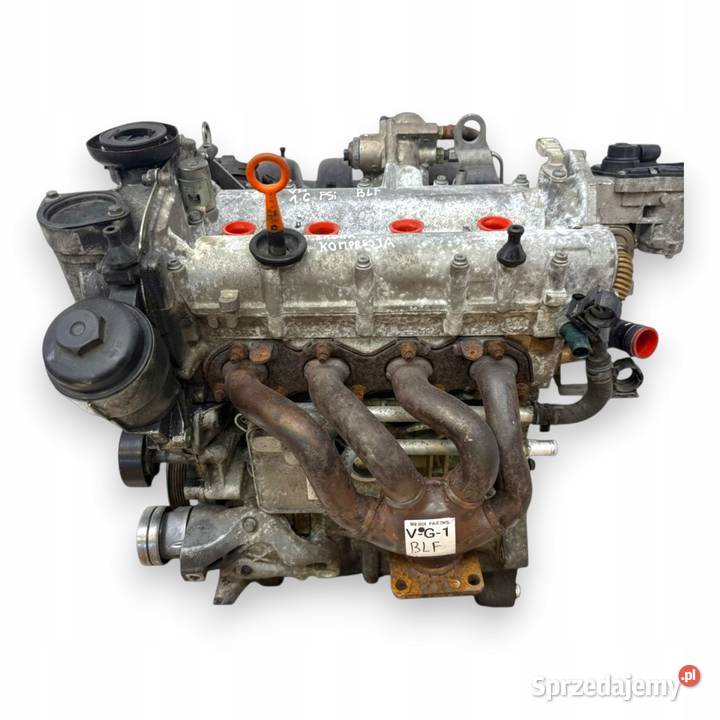 SILNIK BLF VW Touran Golf V Eos Jetta III 16 FSI osobowe Silniki kompletne Chełm