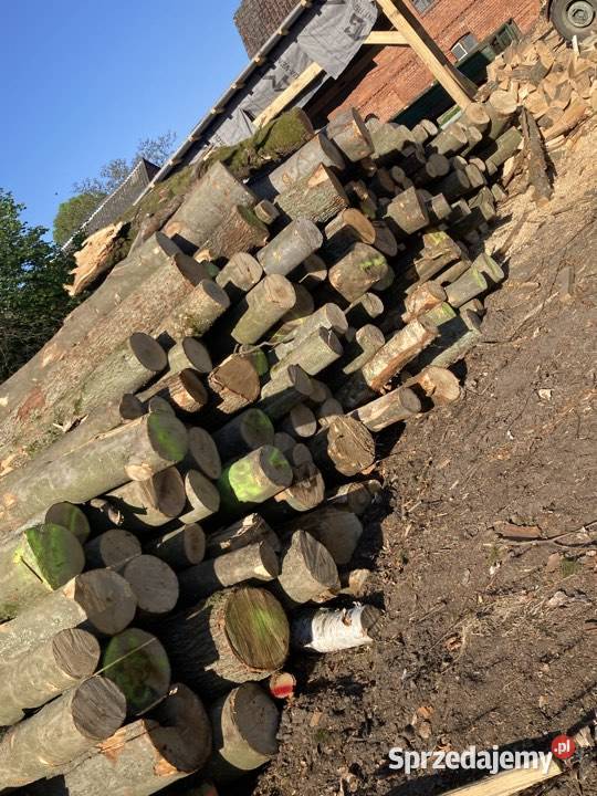 Drewno Buk brzoza mix sosna Opał Gryfino