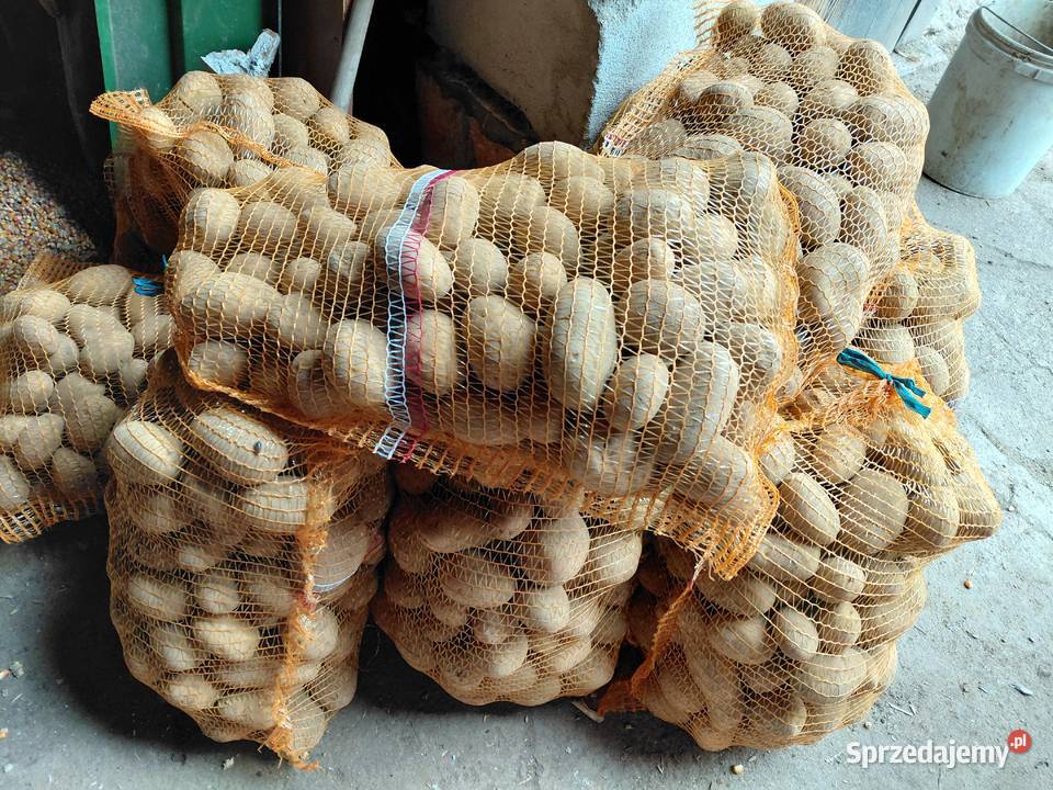 Ziemniaki Warzywa Ochodze