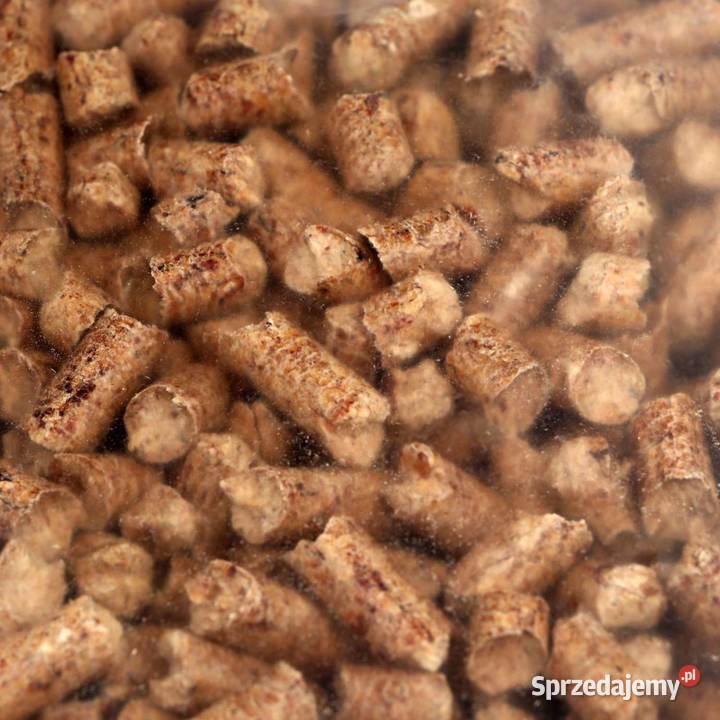 żwirek pellet kota z łuską gryki Stargard