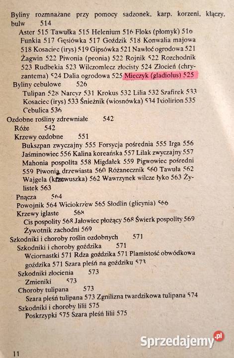 Działka Moje Hobby Gdańsk