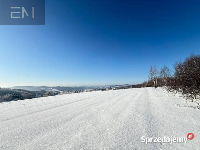 Grunt 4700m2 Gwoźnica Górna