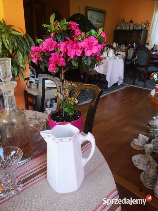 Dzbanek z malutkimi różyczkami Gustafsberg Gdańsk