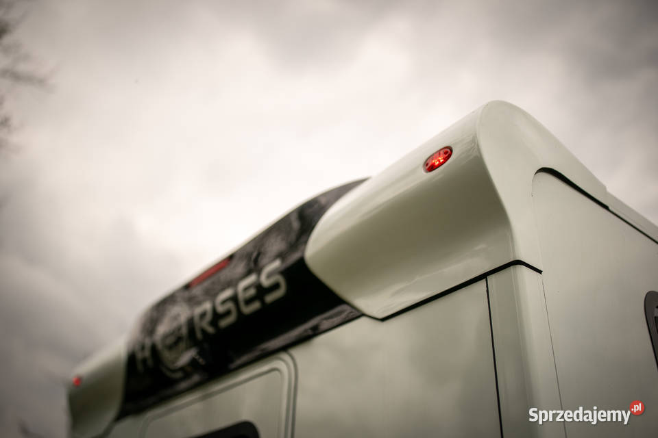 Nissan NV400 KONIOWÓZ Samochód do przewozu koni wielkopolskie Rokietnica