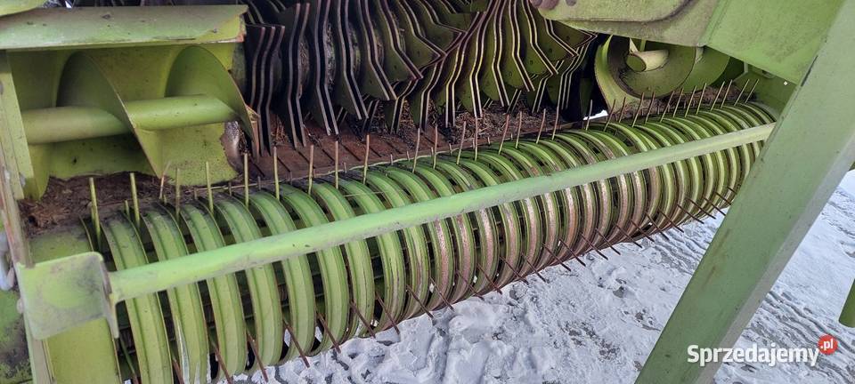 Sprzedam prase class 254 roto cut z 2007 roku Zbuczyn