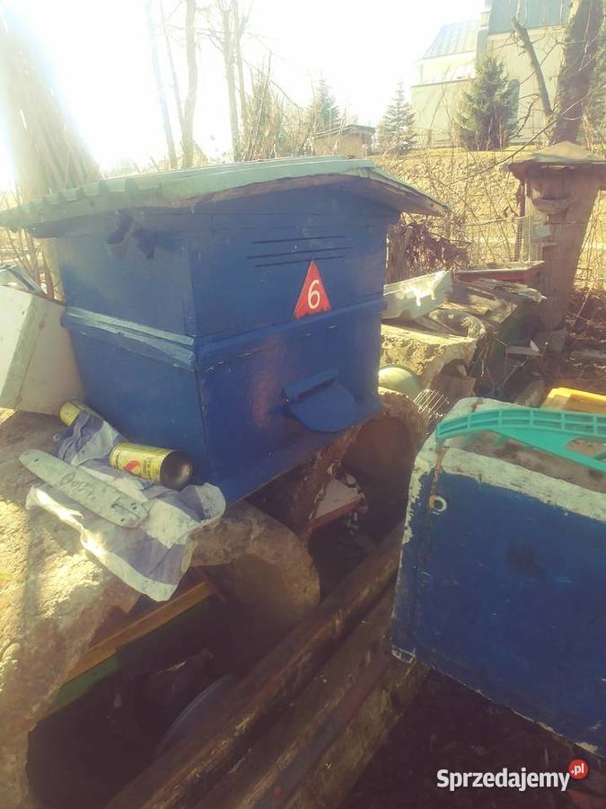 Ule wielkopolskie Brzozów sprzedam