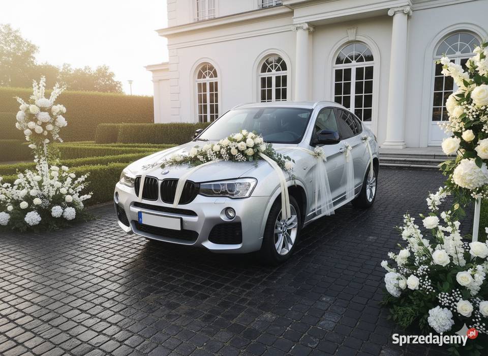 BMW X4 Mpakiet Polski Salon Ful X4 Czyżew