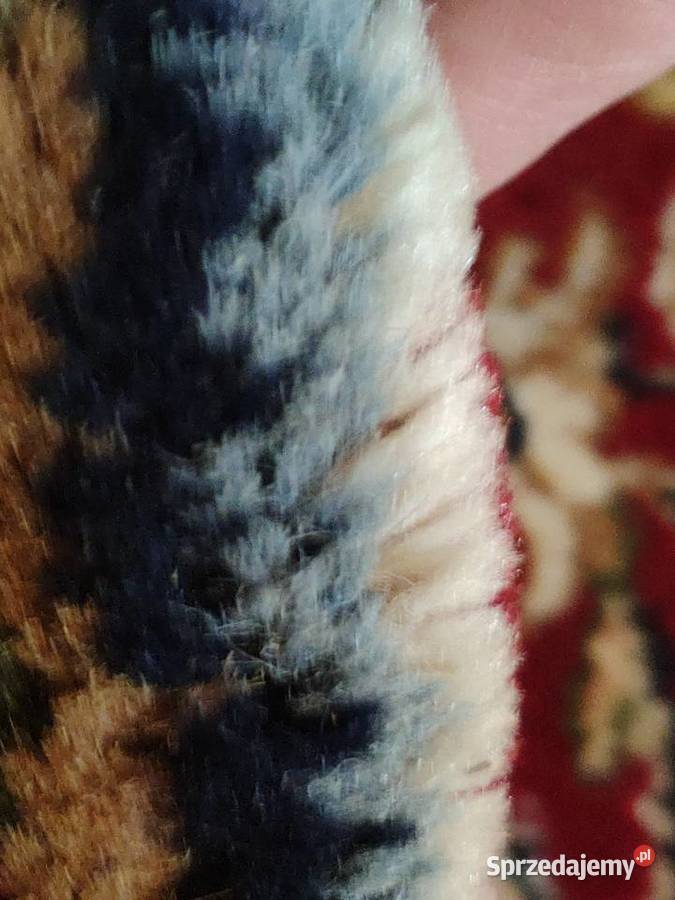 Wełniany ręcznie tkany perski dywan dywanik 87 X Kraków