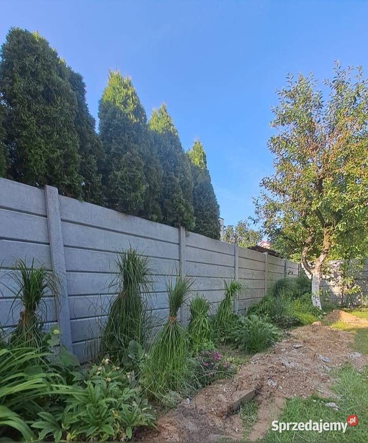 Ogrodzenia betonowe Strzegom