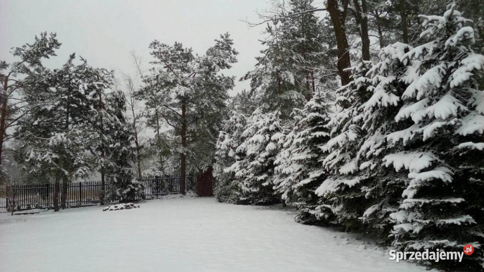 Działka zabudowana Kania Polska