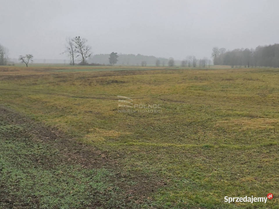 Ziemia rolna o pow 39 Ha w gminie Terespol rolna lubelskie Murawiec