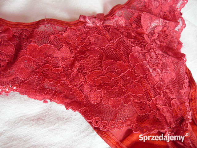 Stringi Evana Taternik podkarpackie Rzeszów