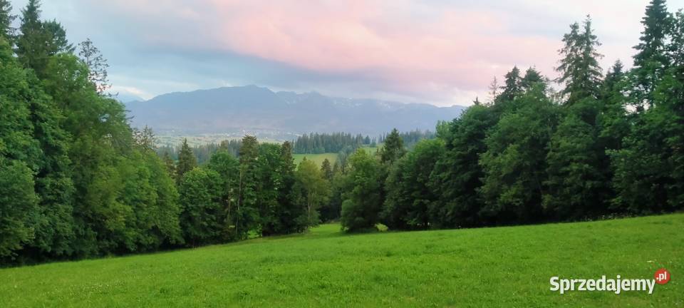 ZAKOPANE GLAMPINGPiękna działka widokowa u stóp Sprzedaż sprzedam
