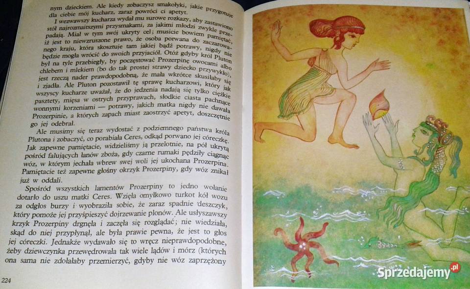 Opowieści z Zaczarowanego Lasu Nathaniel Rok wydania 1980 Chełm