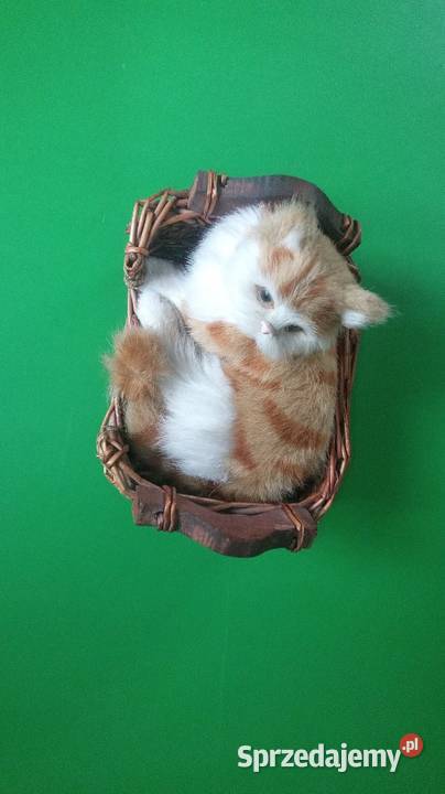 Kiciuś w koszyku Tkanina