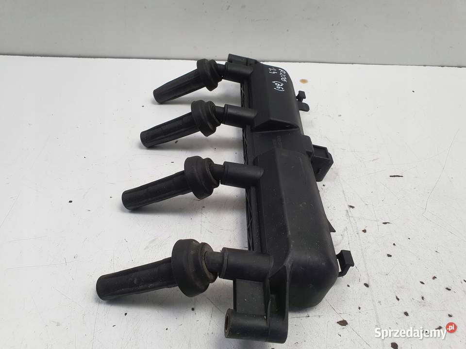 CEWKA ZAPŁONOWA Citroen Peugeot 206 14 8V Motoryzacja lubelskie Rudka