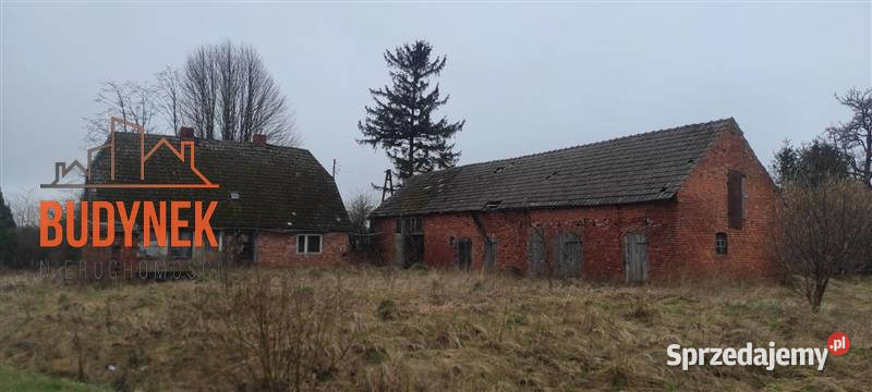 Dom Kowalewiczki Sprzedaż