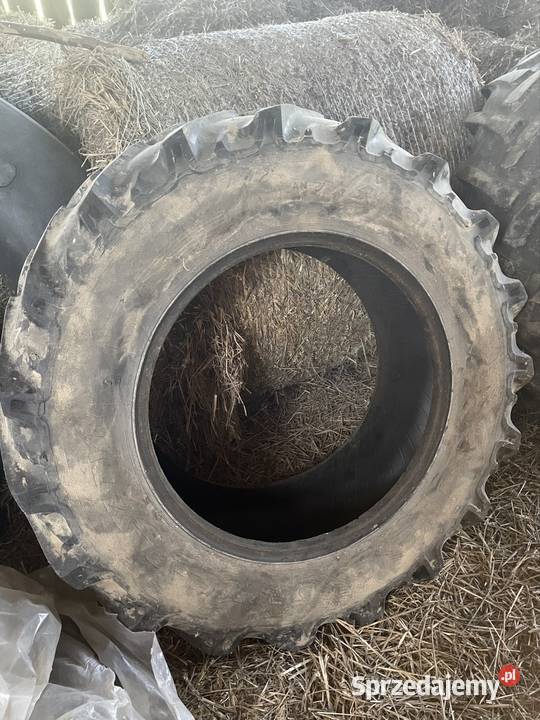 Opony lubelskie Uchanie