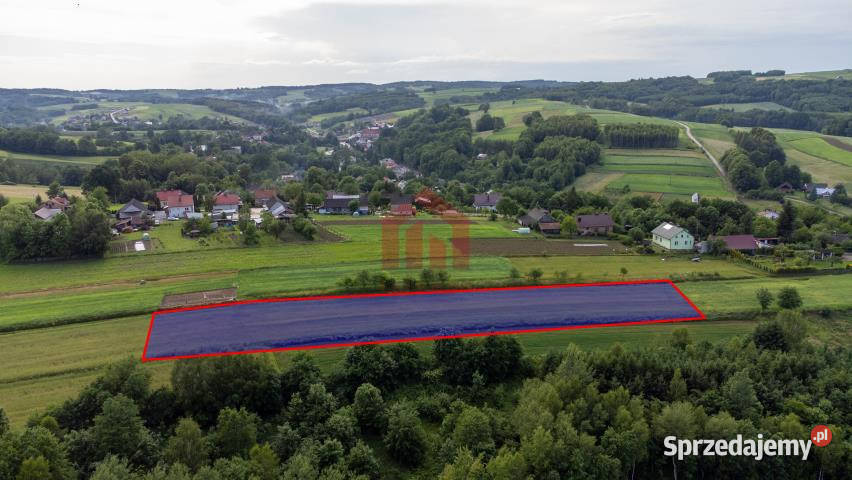 Grunt 2800m2 Zagorzyce sprzedam
