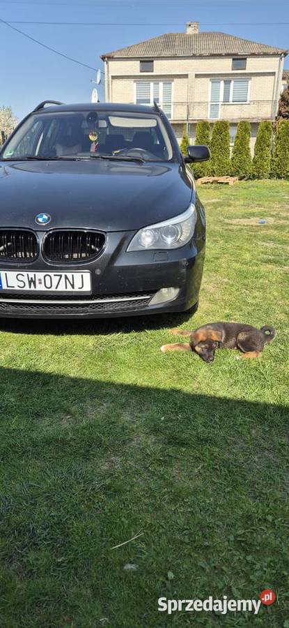 E61 przyciemniane szyby Trawniki