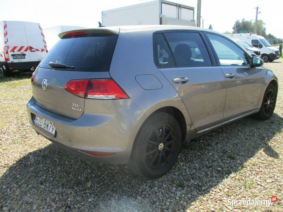 Volkswagen Golf 16 TDI 105 DSG VII 2012 Hatchback Dębica