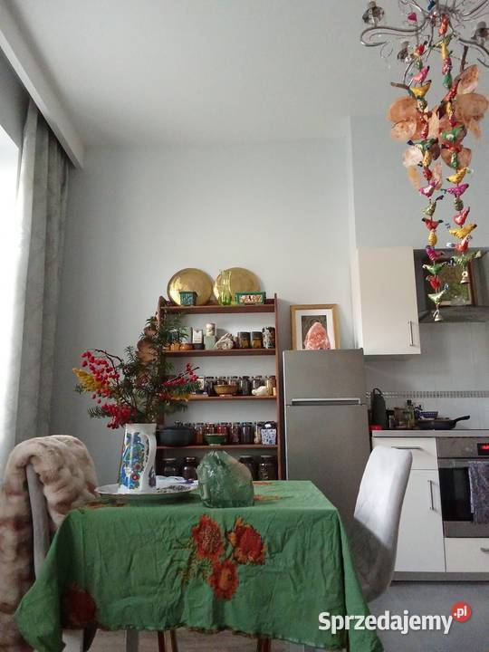 AndaraGreen ObsydianBrazylia 05 Sopot