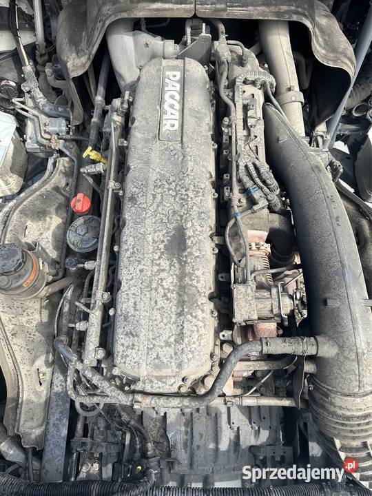 Silnik kompletny Daf Xf 106 euro6 480 mx13 355h2 wielkopolskie Marianice sprzedam