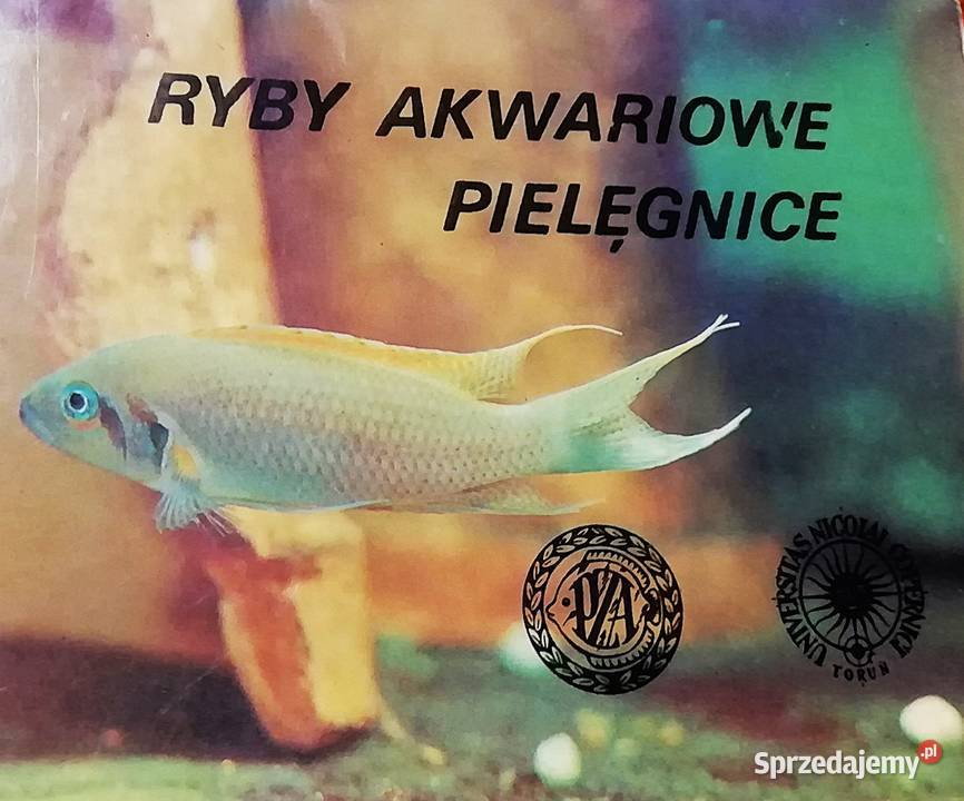 Ryby pielęgnice małopolskie Kraków