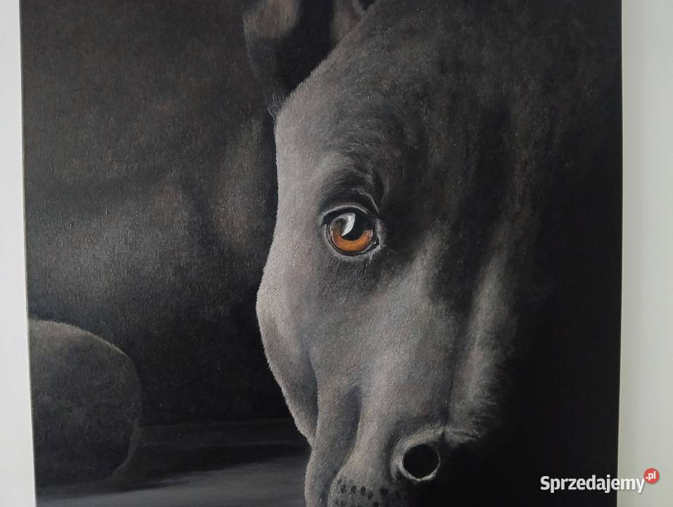 Malowanie obrazów Kurtek wielkopolskie Poznań