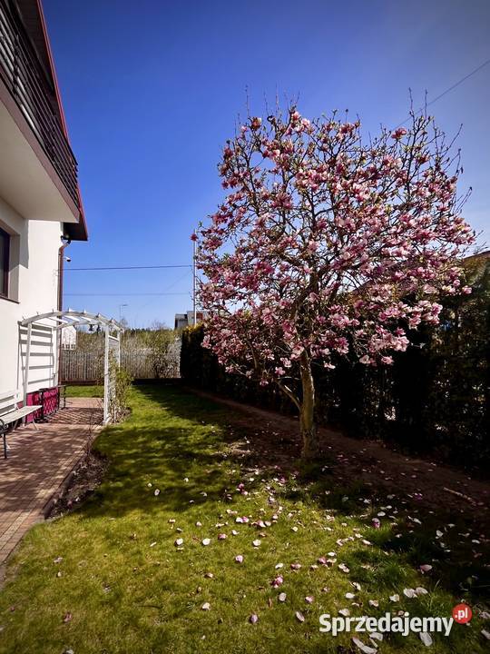 Dom remoncie generalnym Nieruchomości mazowieckie