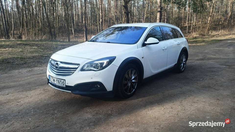 Opel Insignia Country Tourer Country Tourer światła do jazdy dziennej Tomaszów Mazowiecki sprzedam