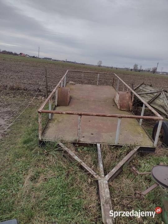 Dłużyca kujawsko-pomorskie Skórzno